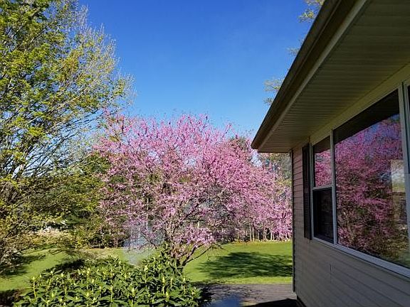 4th image of 295 Bowers Ln