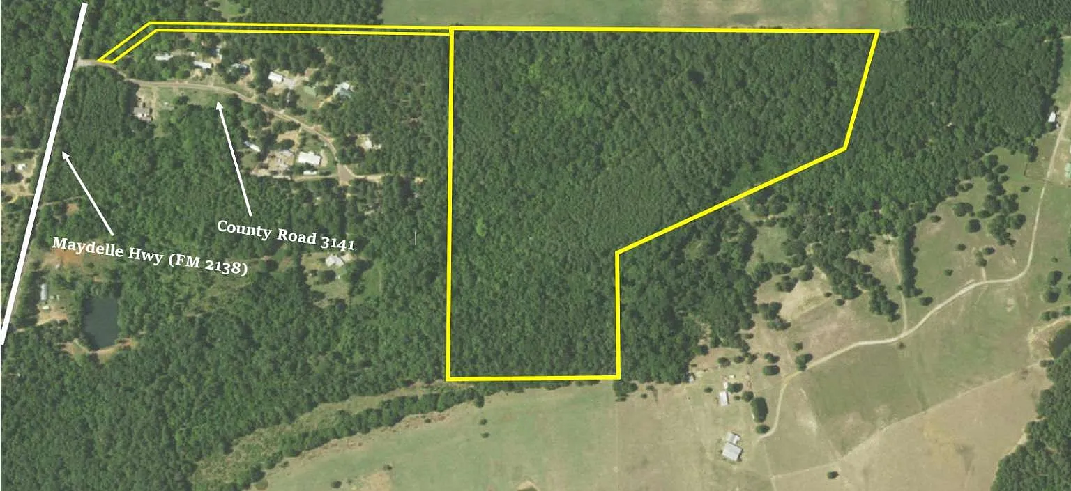 167 County Road 3141 photo 1