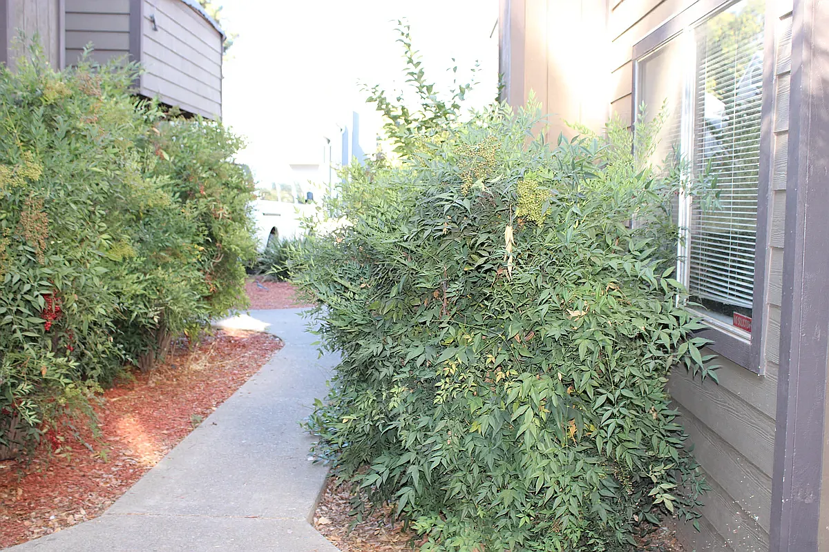 4 bed, 1400 sqft, $650 — Photo 3