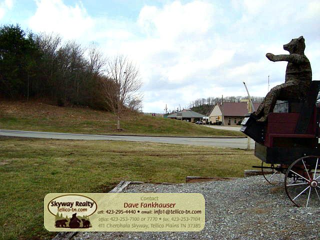 1st image of Cherohala Skwy