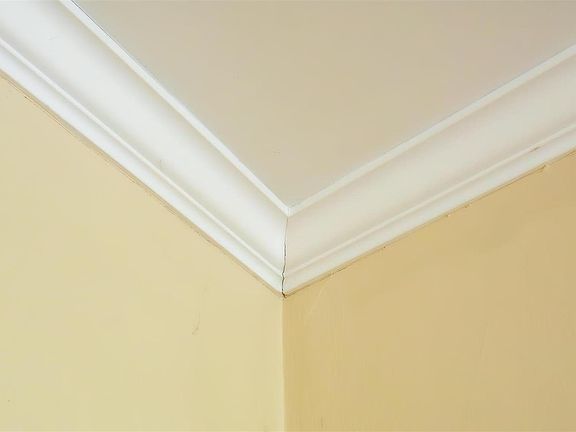 5th image of 7350 Amherst Ave