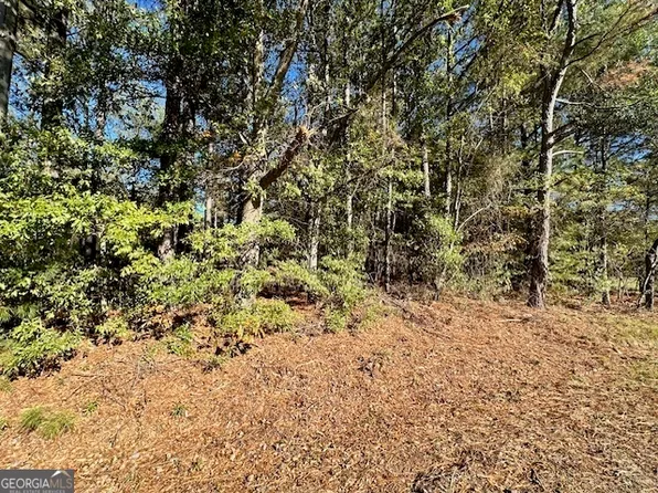 0 Jot Em Down Rd, Danielsville, GA 30633