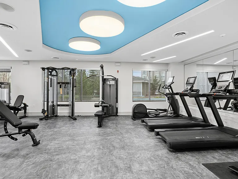 A gym with treadmills, weights, and exercise equipment.