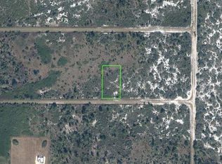 2034 W Osborn Rd LOT 10, Avon Park, FL 33825