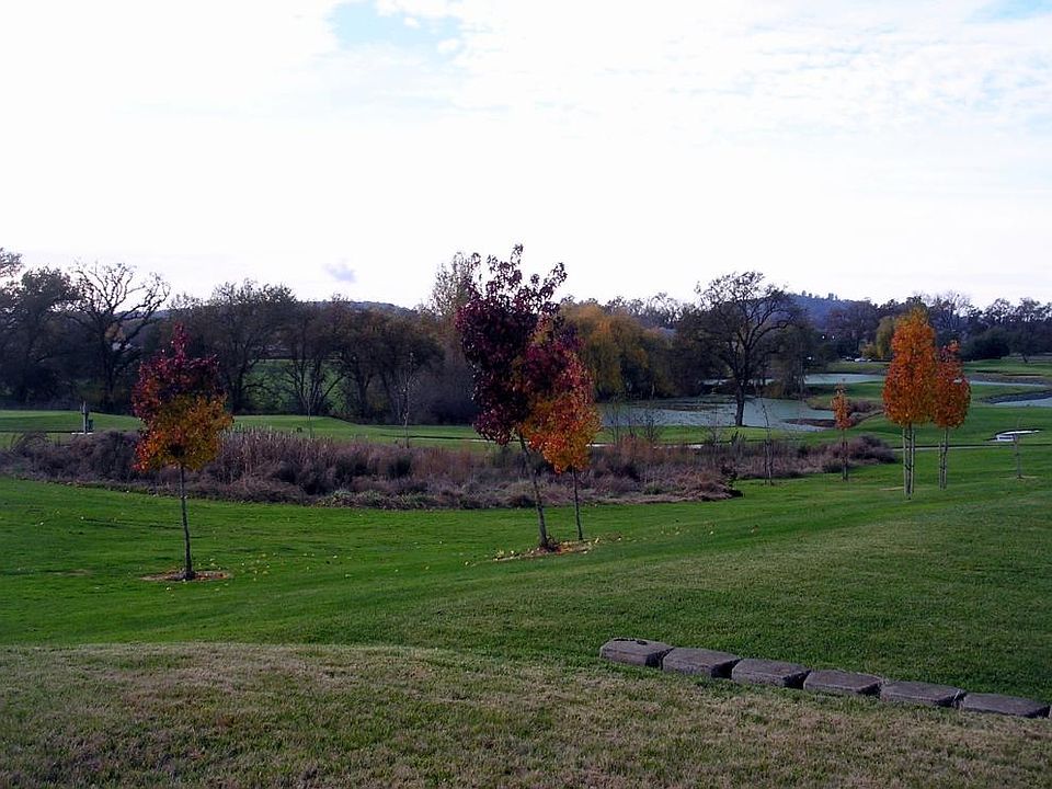 Backyard View