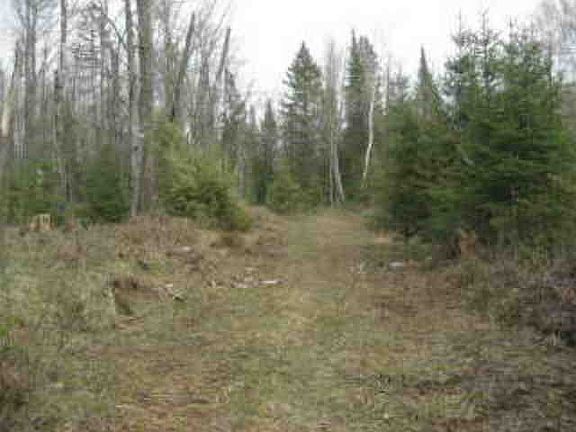 Driveway or Path