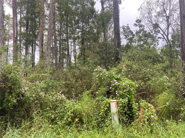 No Name St PARCEL 28173102040230, Lake Helen, FL 32744