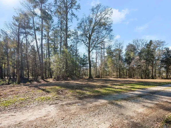 12234 Whitetail Ln, Walker, LA 70785