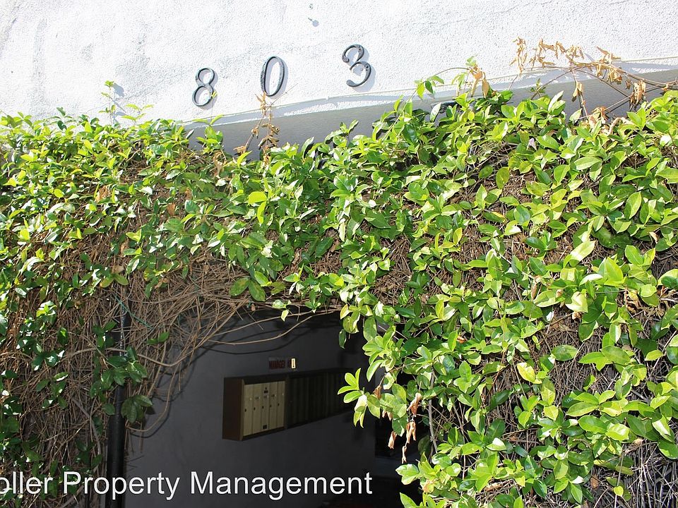 1st image of 803 N San Gabriel Ave APT 2