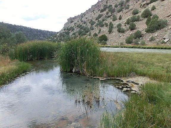 5th image of 791 County Road 303a