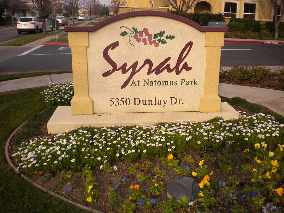The Syrah Community