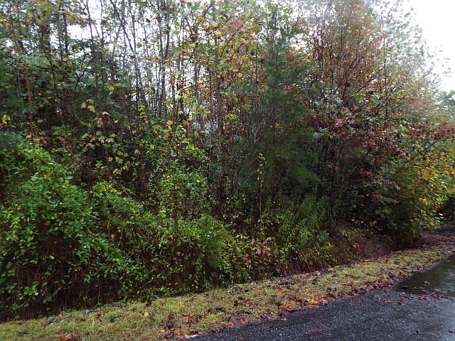 1st image of 0 Torwood Ln