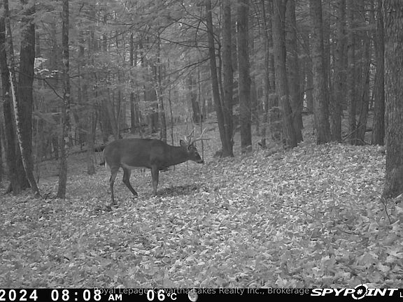 5th image of 0 Crystal Lake Rd