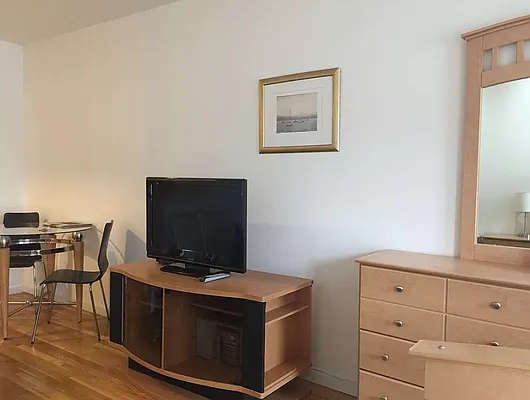 Rented by Furumoto Realty of New York City Inc | media 19