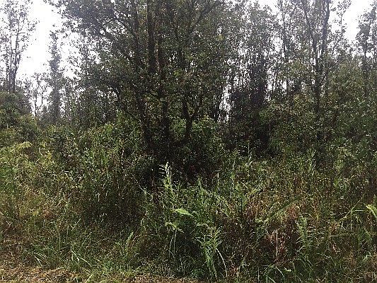 2nd image of LOT 7988th