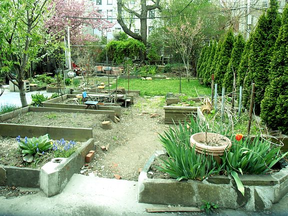 2nd image of 248 St Marks Ave ###2