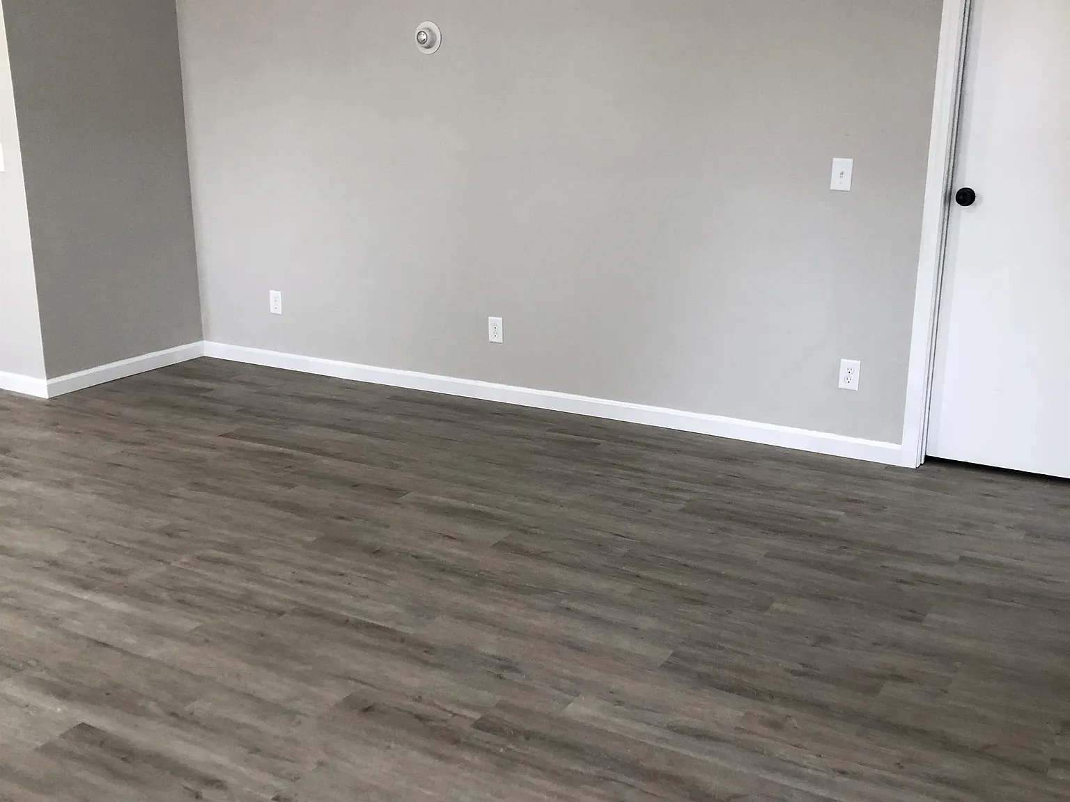 2185 Elizabeth St - B — Photo 3