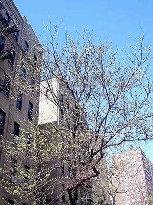 Rented by Sovereign Associates | media 18