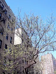 Rented by Sovereign Associates