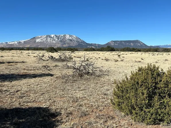 62 Colorado Land Grazing, Gardner, CO 81040