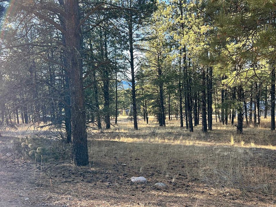 2nd image of 14 Jackson Hole Rd