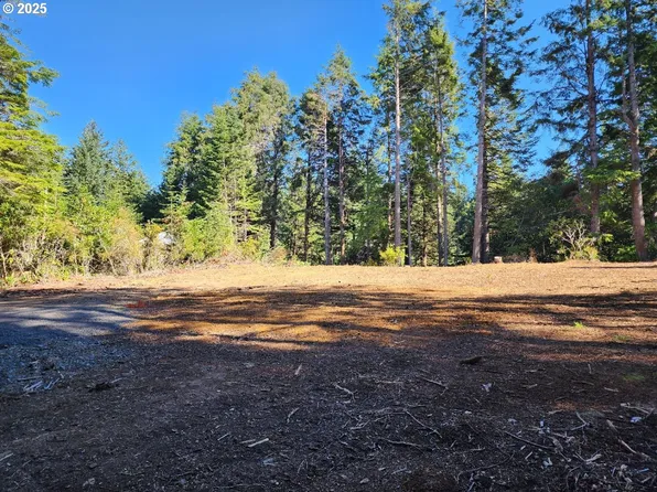 Park Rd #308, Pt Orford, OR 97465