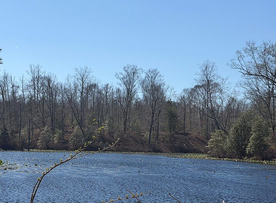 2nd image of 17 Bull Neck Rd