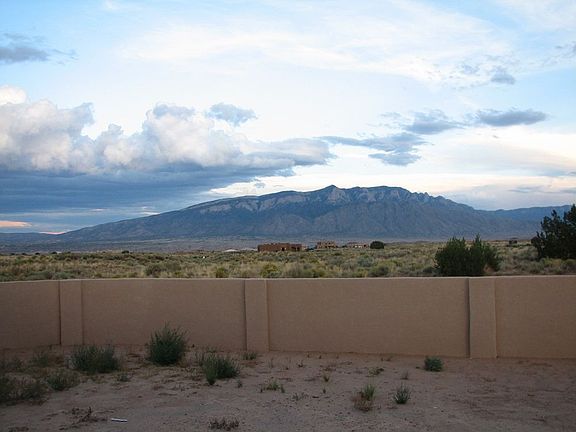 View from Familyroom