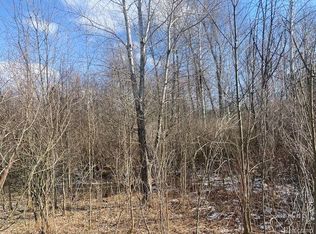 Hess Rd, Millington, MI 48746