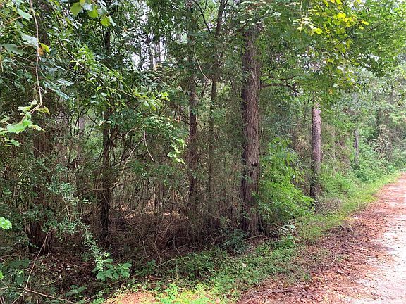 2nd image of LOT 14 Bluebonnet St