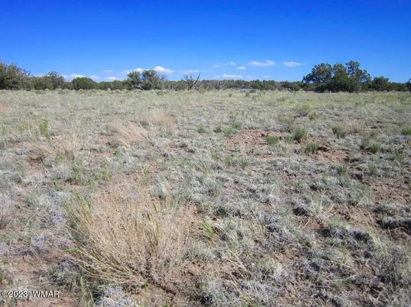 Apn #206-30-222, Chambers, AZ 86502