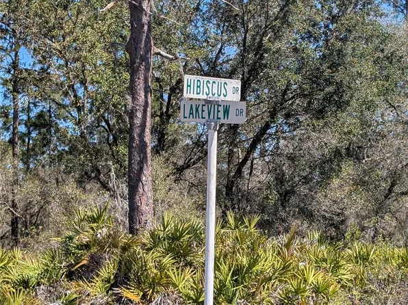 923 Hibiscus Dr Lot 13, Indian Lake Estates, FL 33855