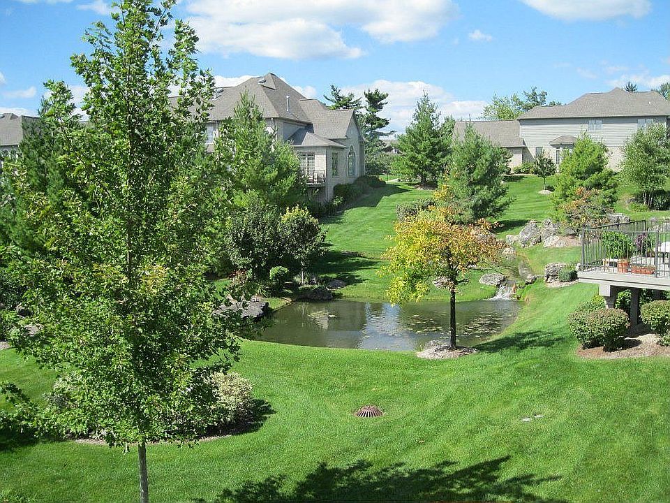 View of Backyard