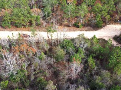 Xx Brandi Rd, Quincy, FL, 32351