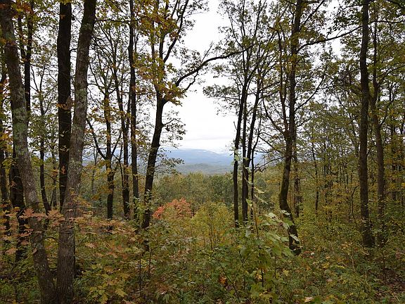 3rd image of LOT 14 Lower Sassafras Parkway