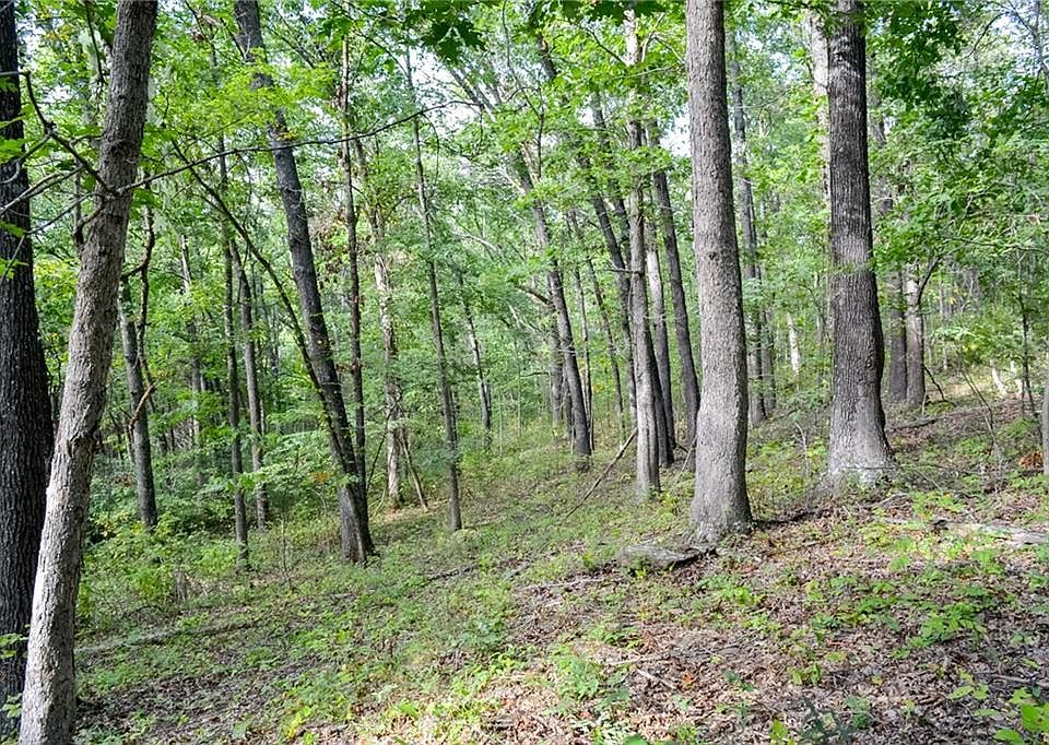 0 S 2251st Rd, Humansville, MO 65674 Zillow