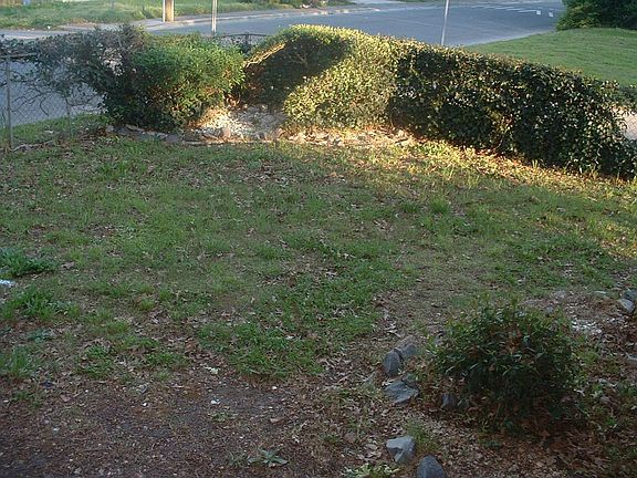 FENCED IN YARD