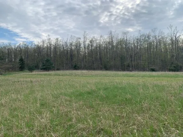 3706 W Nicholson Hill Rd, Ossineke, MI 49766