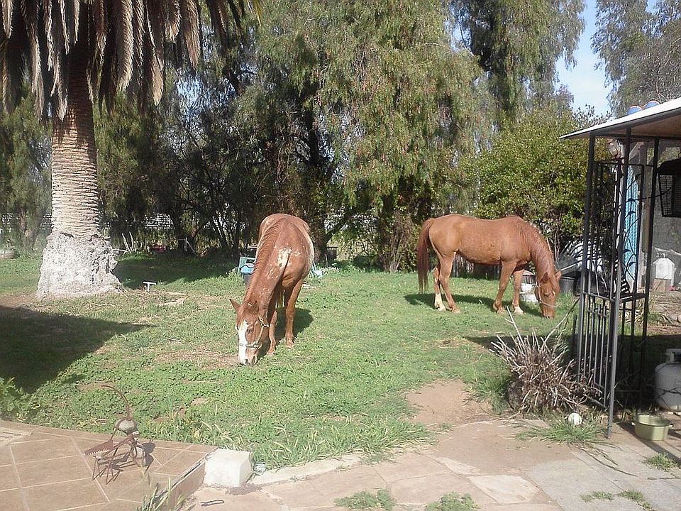 front yard