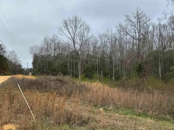 2187 County Road 340 #0, Maplesville, AL 36750