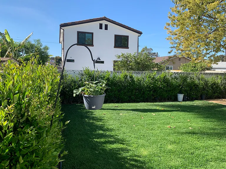 Private backyard with grass, mature hedges for added privacy, and space for outdoor enjoyment.