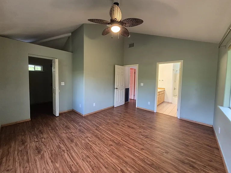 Master bedroom with walk-in closet on the left and master bath on the right