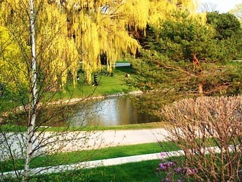 Check out the view from patio