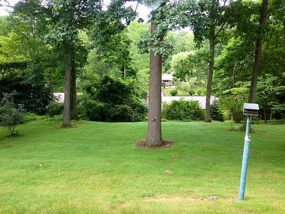 Backyard view from Kitchen Windown