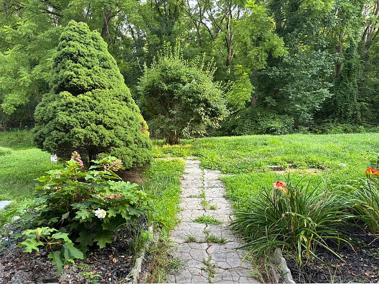 113 Redwood Dr — Photo 11