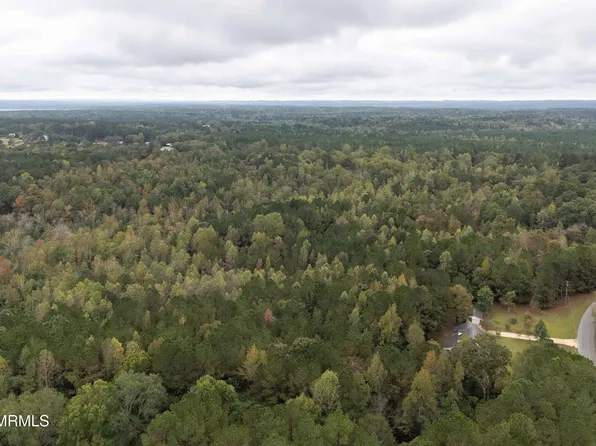 Gipson Rd, Collinsville, MS 39325