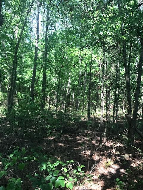 2nd image of Indian Oaks Dr