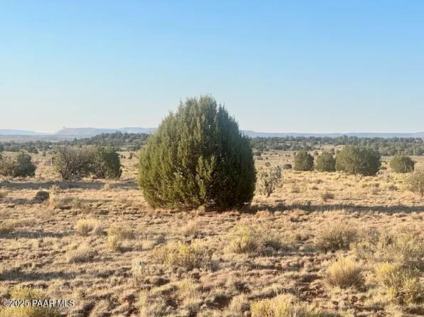 349N E Rocky Top Rd, Seligman, AZ 86337