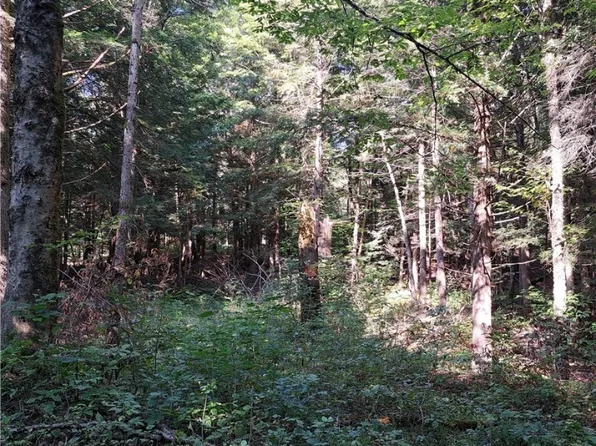 0 Dingle St #33, Camden, NY 13316