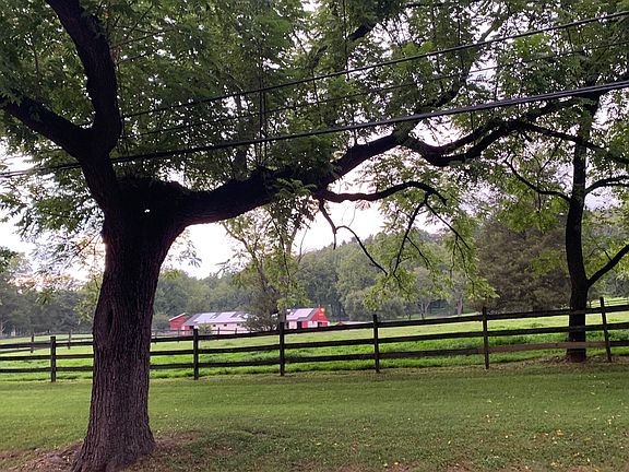 View across street, horse farm.